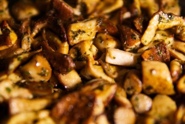 boletus-al-ajillo-1-620x414-1