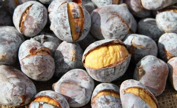 castanas-con-miel-1-620x378-1