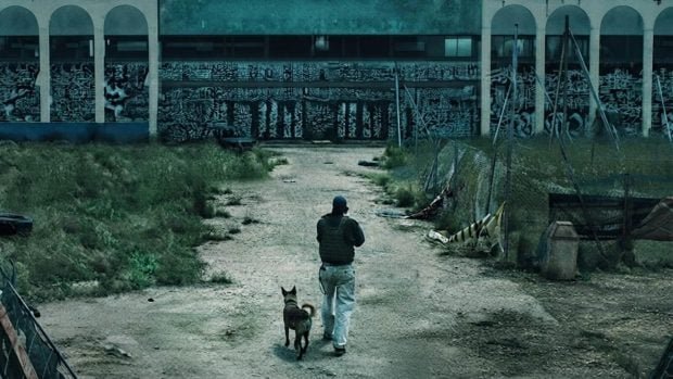 constelacion-perro-imagen-poster-620x349-1