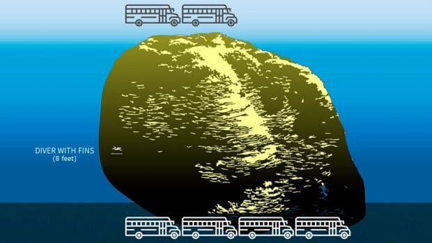 coral-escala-620x349-1