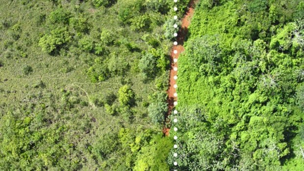 en-1997-ecologistas-cubrieron-un-terreno-con-12000-toneladas-de-cascaras-naranja-anos-despues-es-un-desastre-ecologico-sin-precedentes-620x349-1