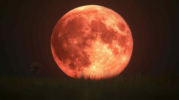 luna-llena-de-fresa-620x348-1
