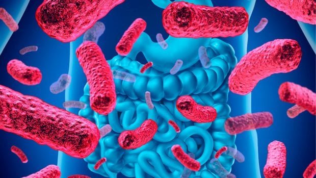 microbiota-intestinal-620x349-1