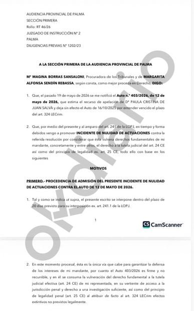 doc-1-1-387x620-1