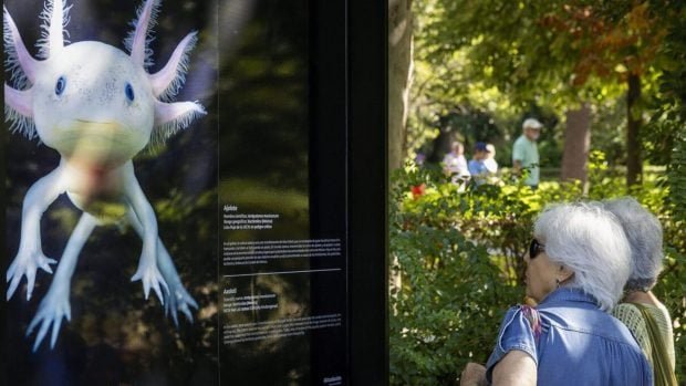 exposicion-animales-en-el-retiro-620x349-1