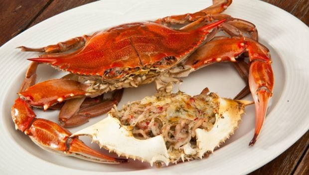 receta-de-centollo-para-la-cena-de-navidad-o-nochevieja-2023-620x351-1