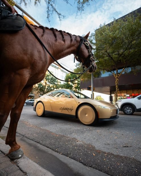 save-a-horse-ride-a-robotaxi_easy-resizecom_-496x620-1