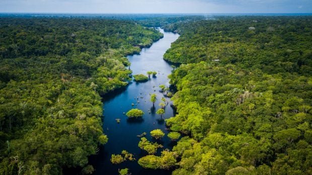 selva-amazonas-620x349-1