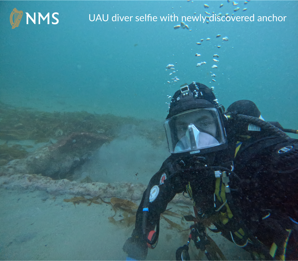 diver-1024x897-1